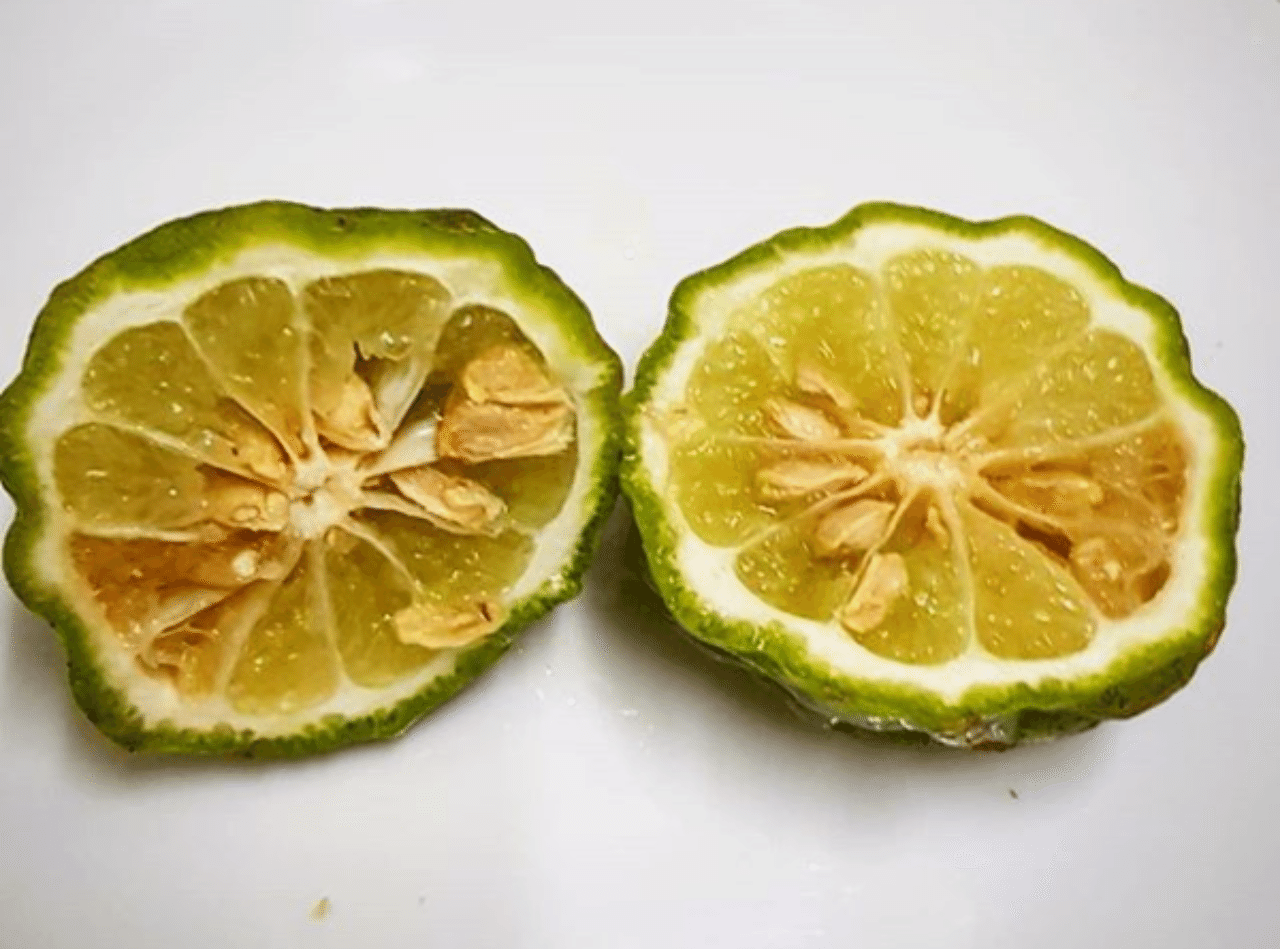 コブミカンとの出会い ２ Uwan モリンガ栽培と物作り Note