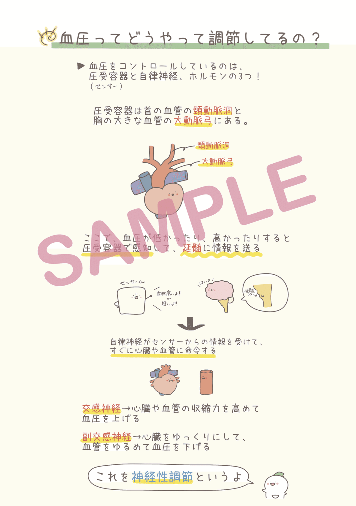 先行販売】ナースまるの『ゆるっと解剖生理学まとめノート
