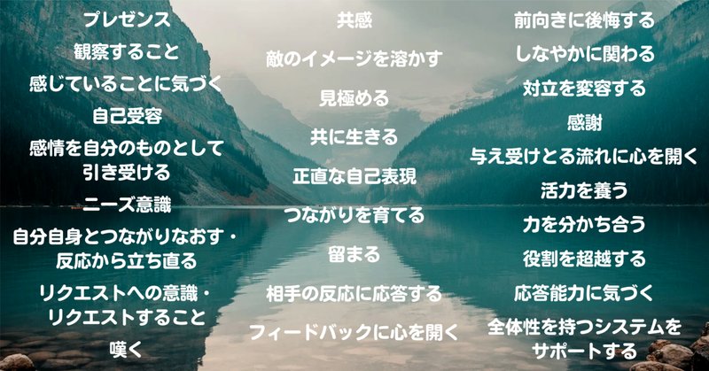 教材紹介【見る力】『『見る力』を育てるビジョン・アセスメント