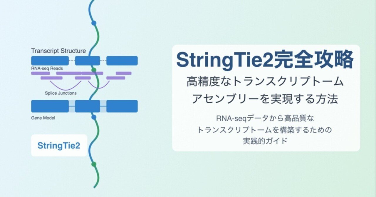 StringTie2完全攻略:高精度なトランスクリプトームアセンブリーを実現する方法|Ozk