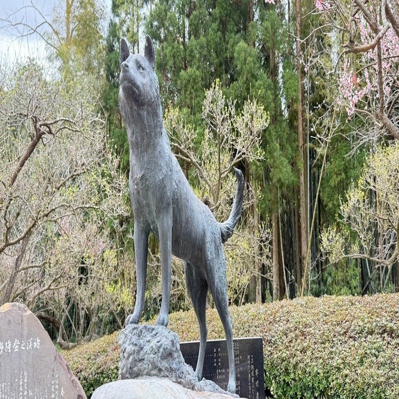 どうぶつ愛護の物語第13話『西郷さんの愛犬ツンの物語』｜赤城颯志（作家）