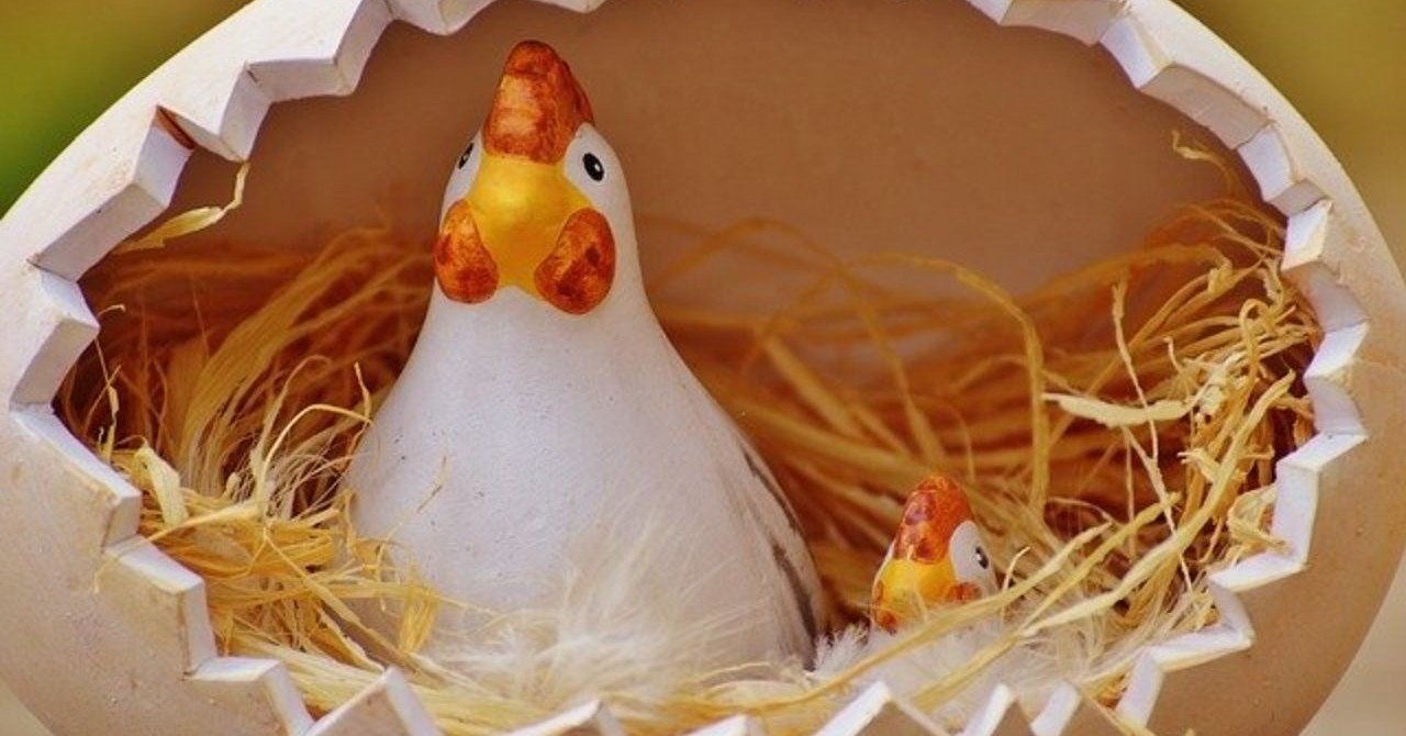 スズメの涙って みたことある やらぽん のほほんエッセイ Note スズメの涙って みたことある やらぽん のほほんエッセイ Note