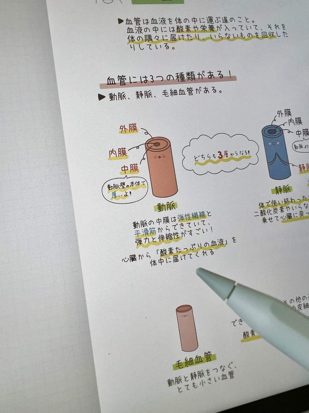 解剖生理」の人気タグ記事一覧｜note ――つくる、つながる、と