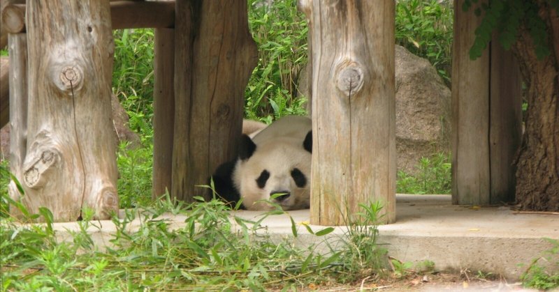 王子動物園」の人気タグ記事一覧｜note ――つくる、つながる、と