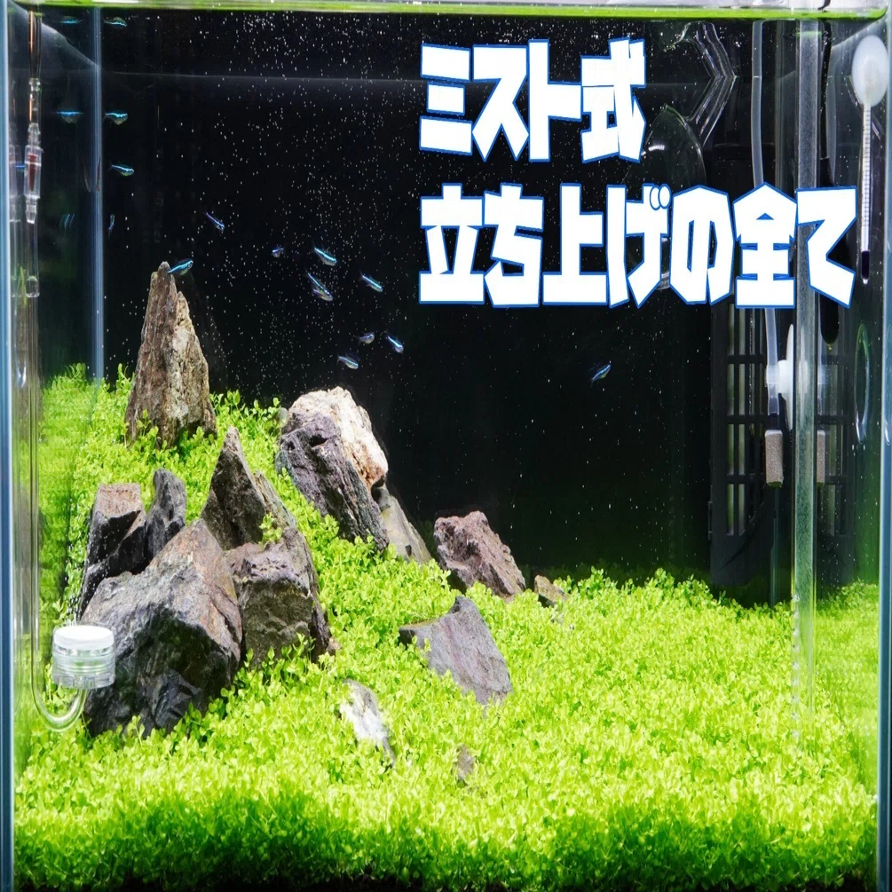 アクアリウム】初めてのミスト式立ち上げでやった全てのこと｜さびあり