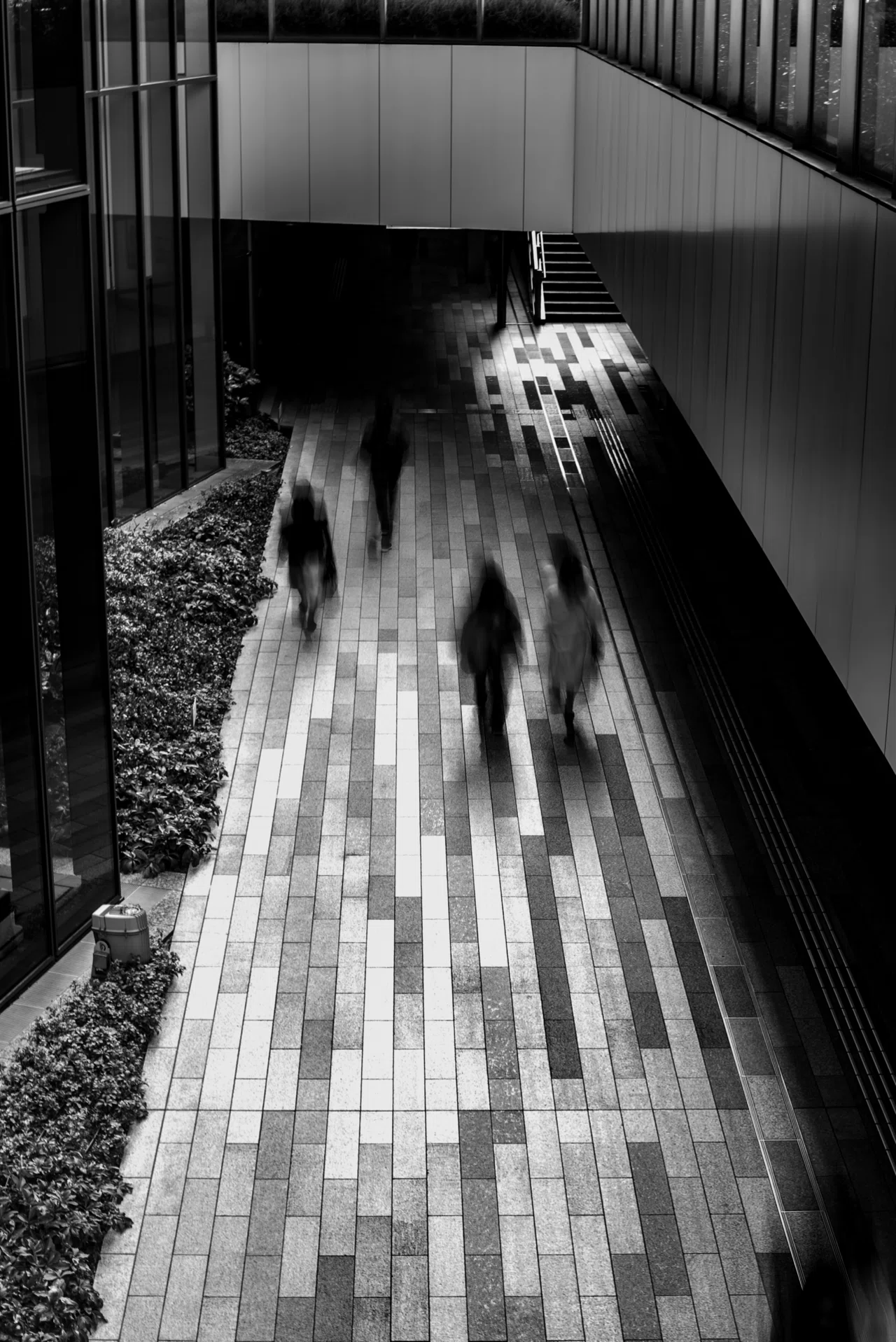 こ*ん様 オールドレンズ 6点セット オールドレンズに魅力を感じる理由｜くろどん │ 育児と写真