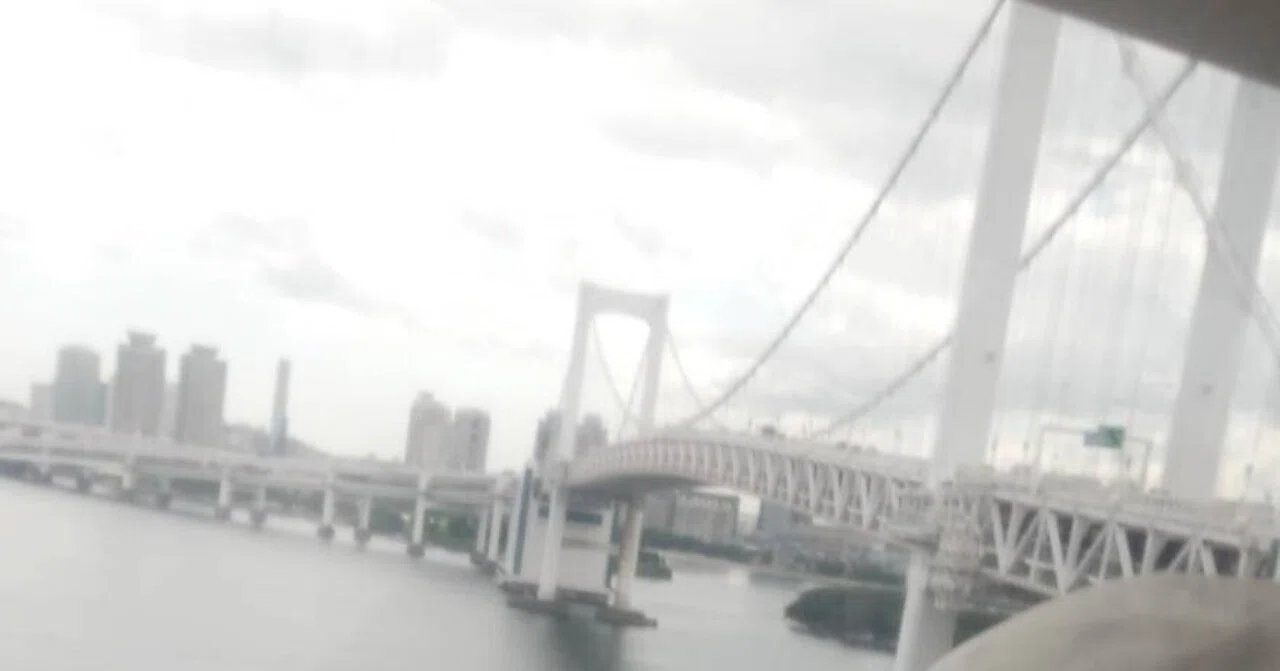 Old Man Genki's Blog Post No. 12 (March 21, 2025)｜老爺元気｜農業歴20年の百姓ブログ