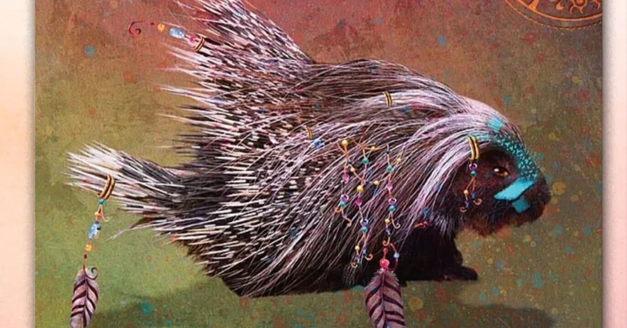 What My Quills Teach Me: 'Porcupine Spirit' — Relaxing Your Quills and ...