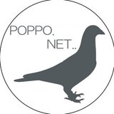 poppo.net