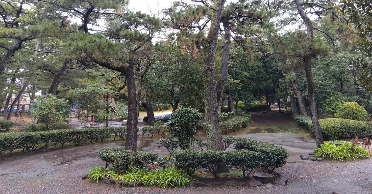 今週の新着アイテム 沼津市芹沢光治良記念館｜なおちか 日本史