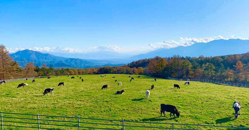 旅行は基本 車でひとり旅 Cotorinoie Note