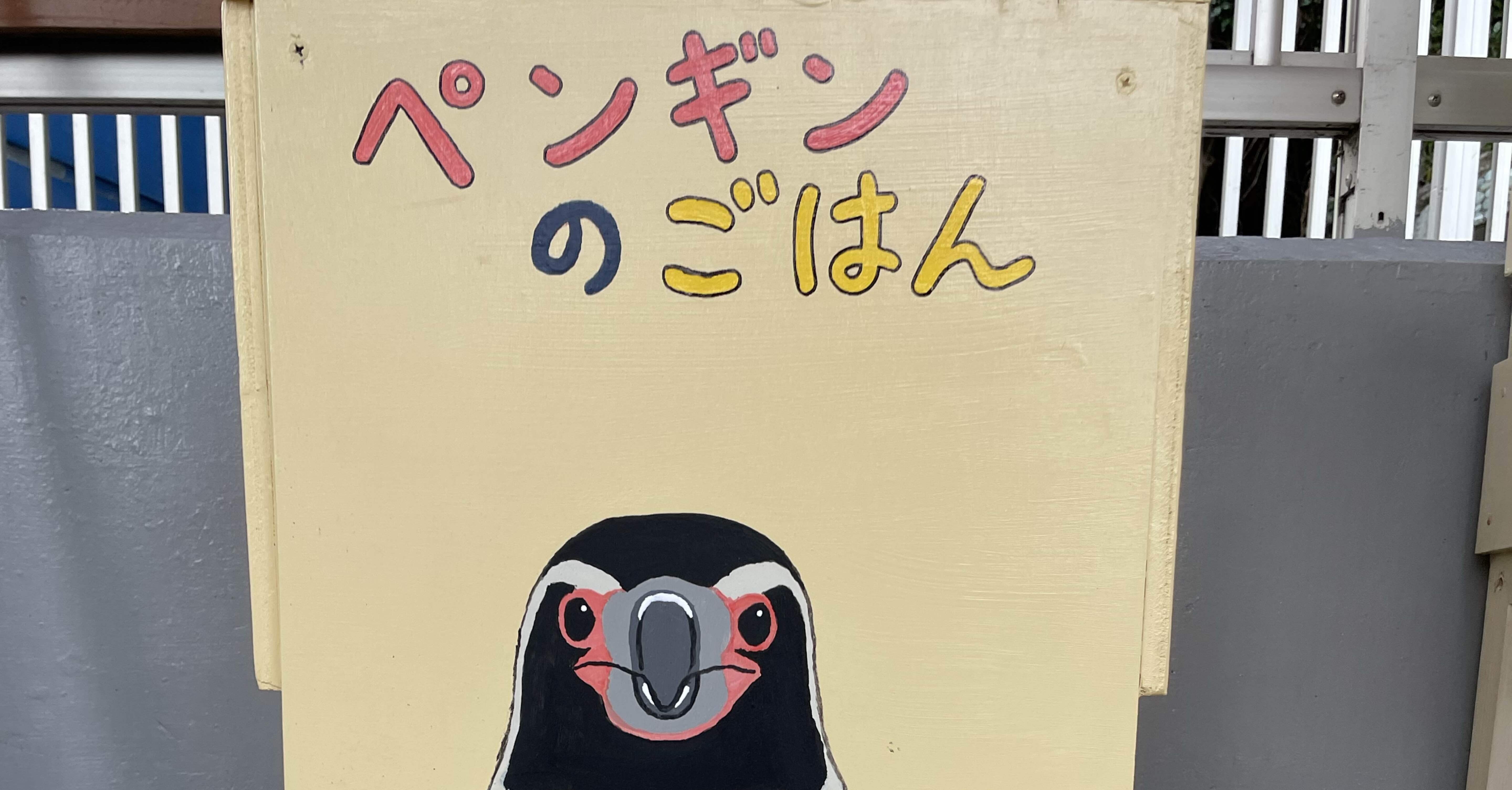 ペンギンのごはん体験、再開します！🐧｜桂浜水族館 公式