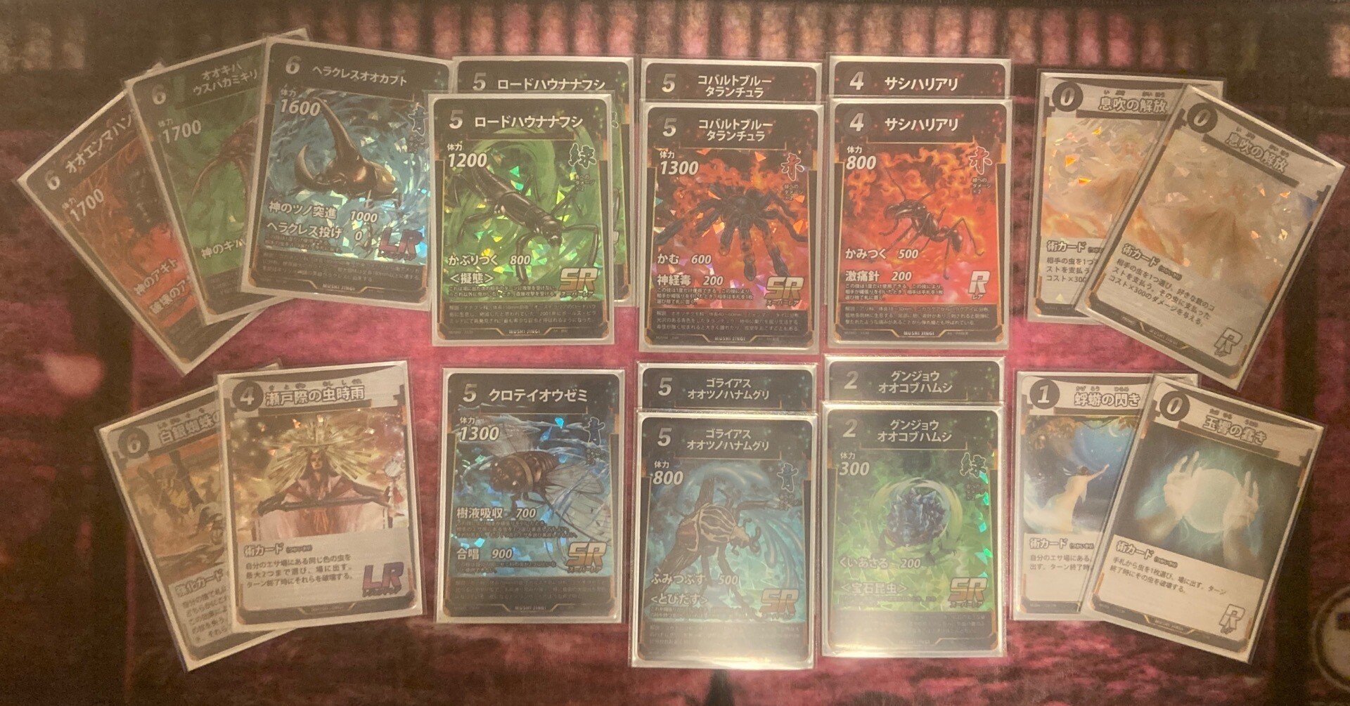 5f41853f4e8d17abf56a506c5a980c