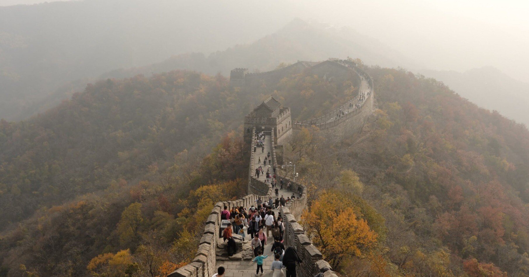 87876cfc083b71d6c9a865d0d563f7