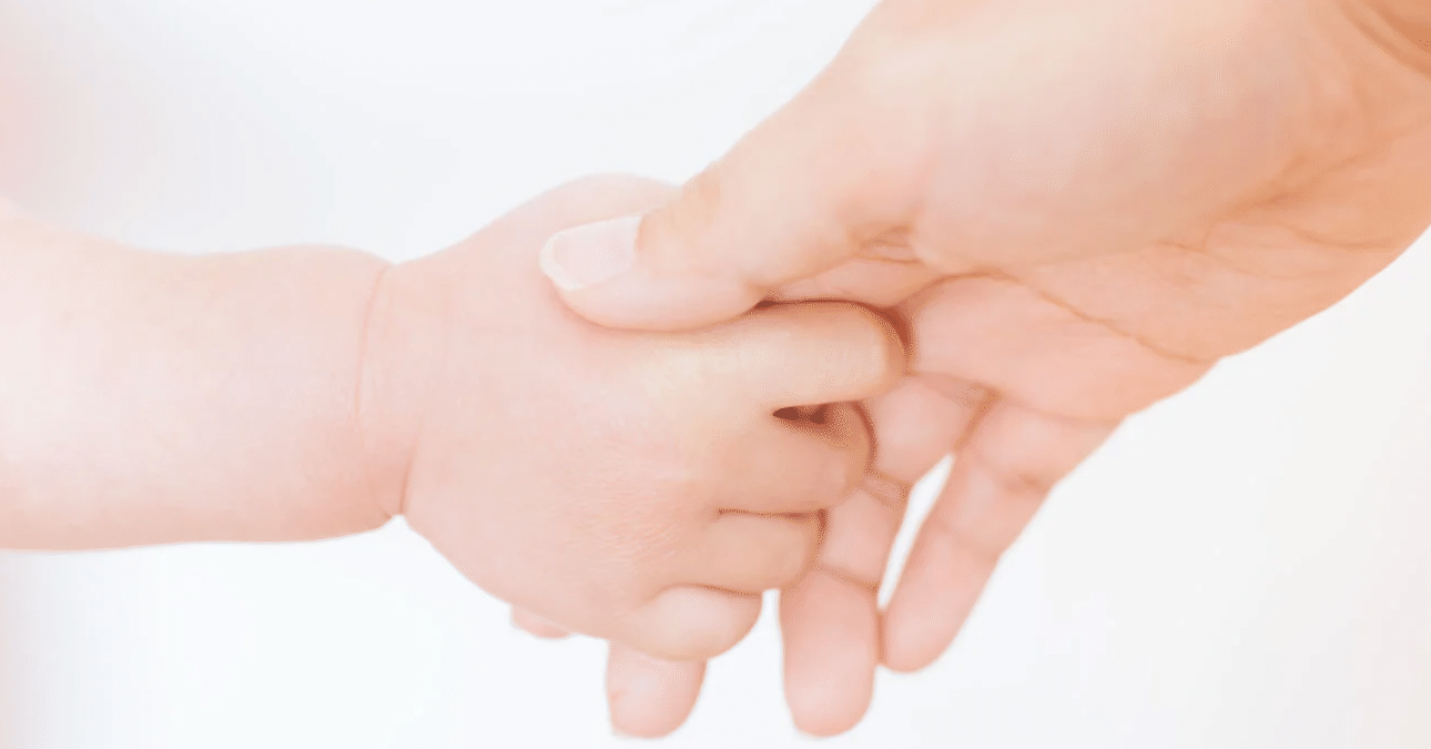 プロの仕事に求められるものとは 保険募集人の役割 保険募集人の資格でできることは？仕事内容やFPとの違いについて解説