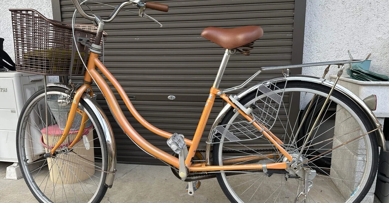 昔の女性って信じられないくらい働き者だったよなと、祖母の自転車に