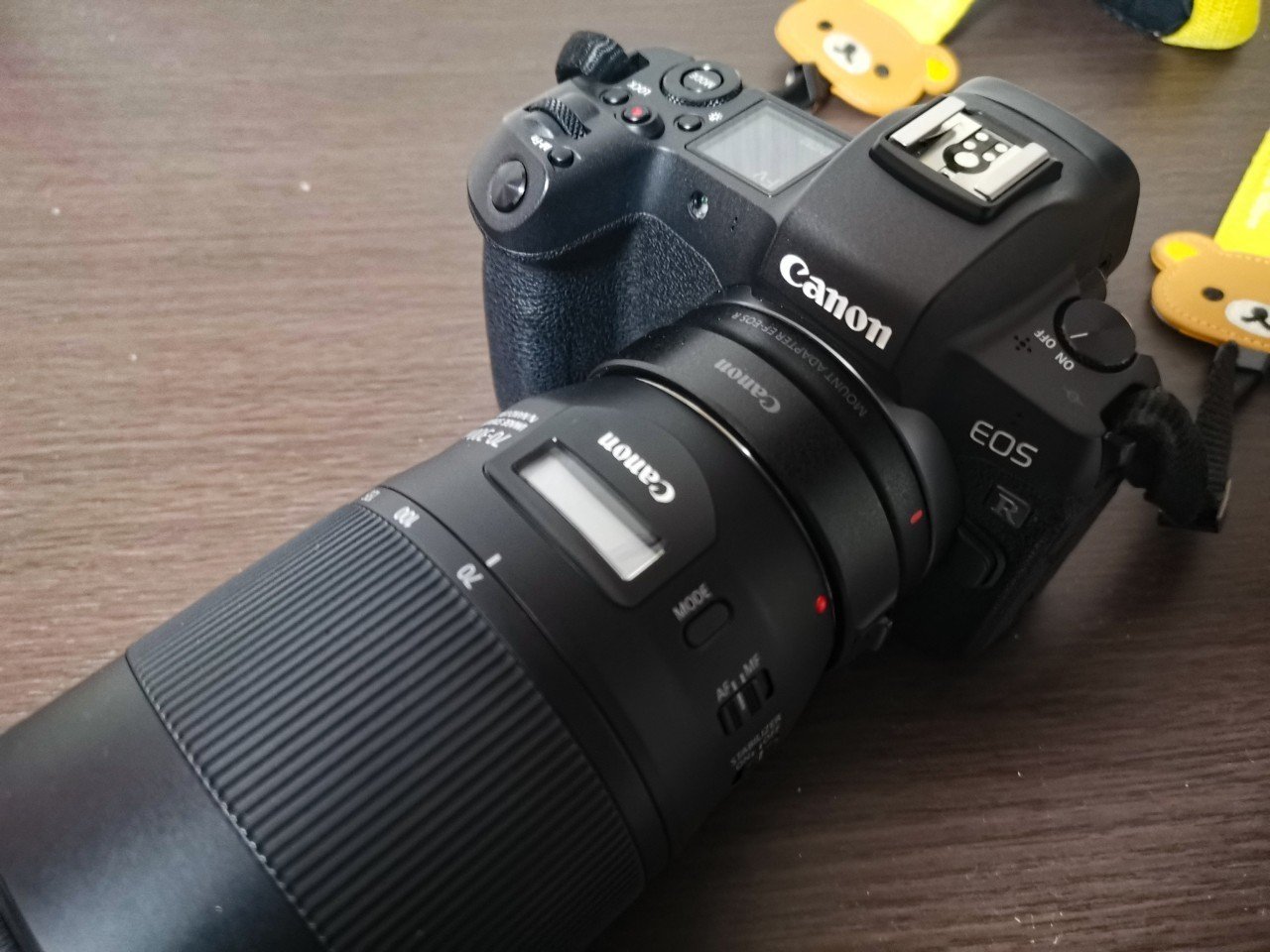 Canon「EOS R」で陸上競技を撮ってみた話 ①フルサイズに惹かれた日の