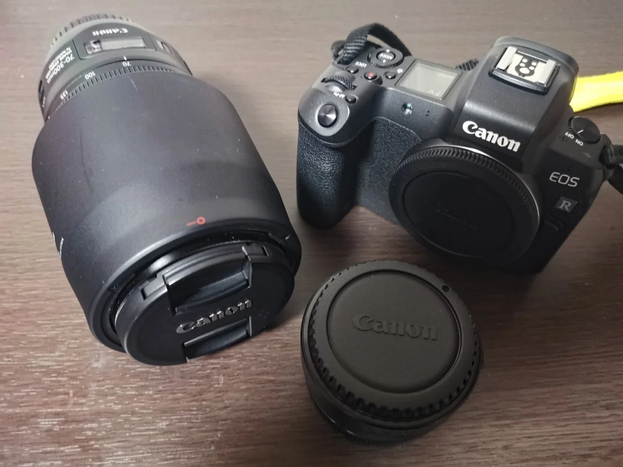 Canon「EOS R」で陸上競技を撮ってみた話 ①フルサイズに惹かれた日の