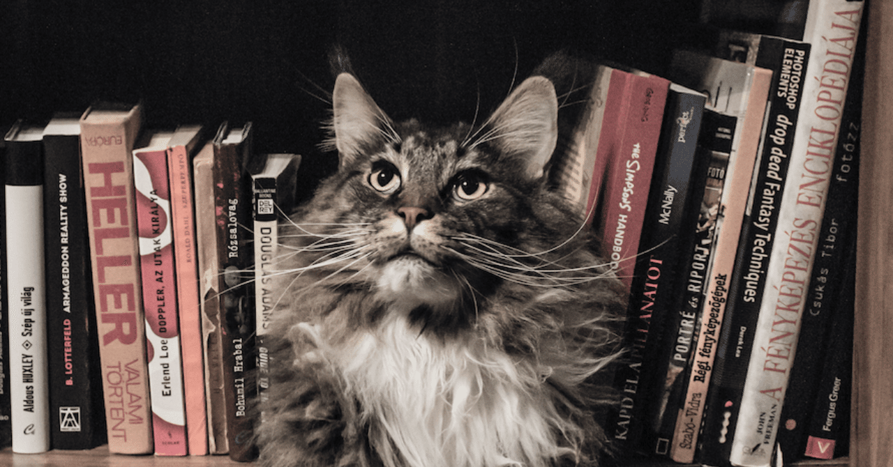 34 積ん読 が英語になる日まで Takafumi Ito Note 34 積ん読 が英語になる日まで Takafumi Ito Note