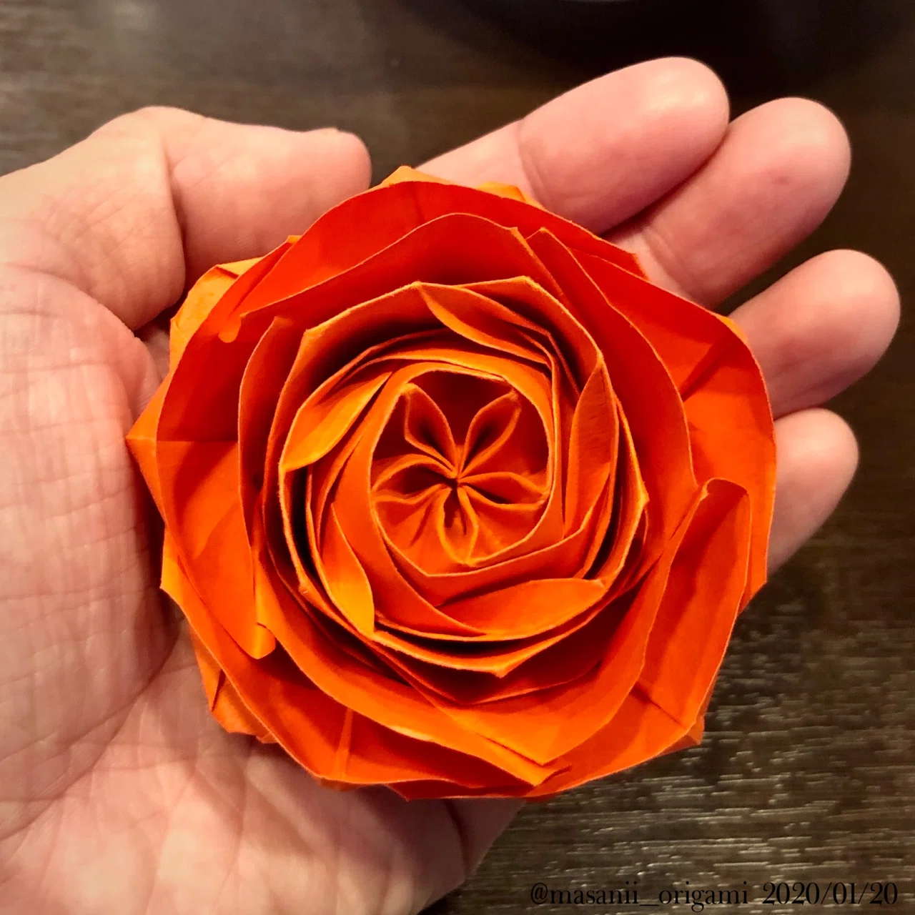ロゼット咲きのオールドローズ、外側の花びらを破らない工夫。｜まさにぃ