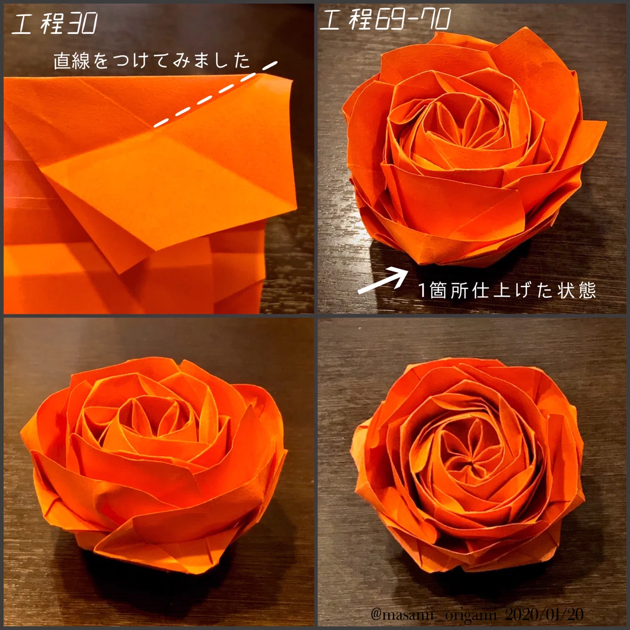 ロゼット咲きのオールドローズ、外側の花びらを破らない工夫。｜まさにぃ