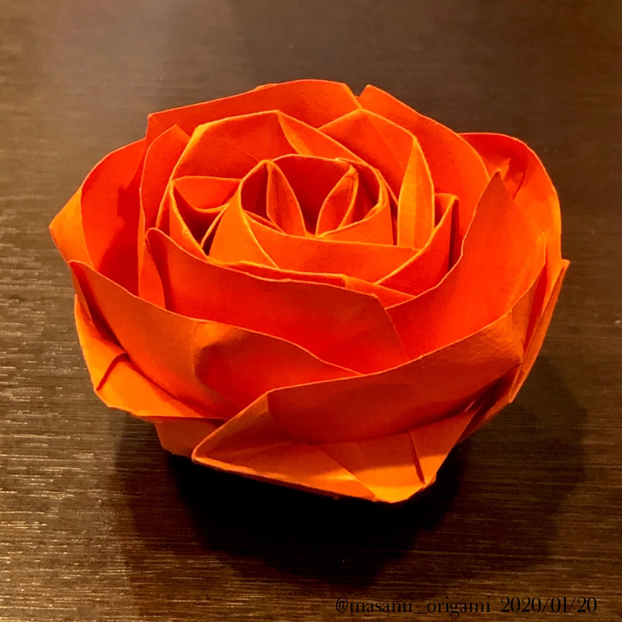 ロゼット咲きのオールドローズ、外側の花びらを破らない工夫。｜まさにぃ