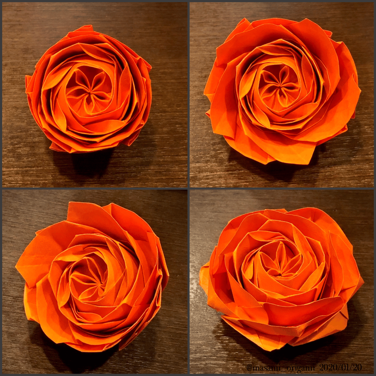 ロゼット咲きのオールドローズ、外側の花びらを破らない工夫