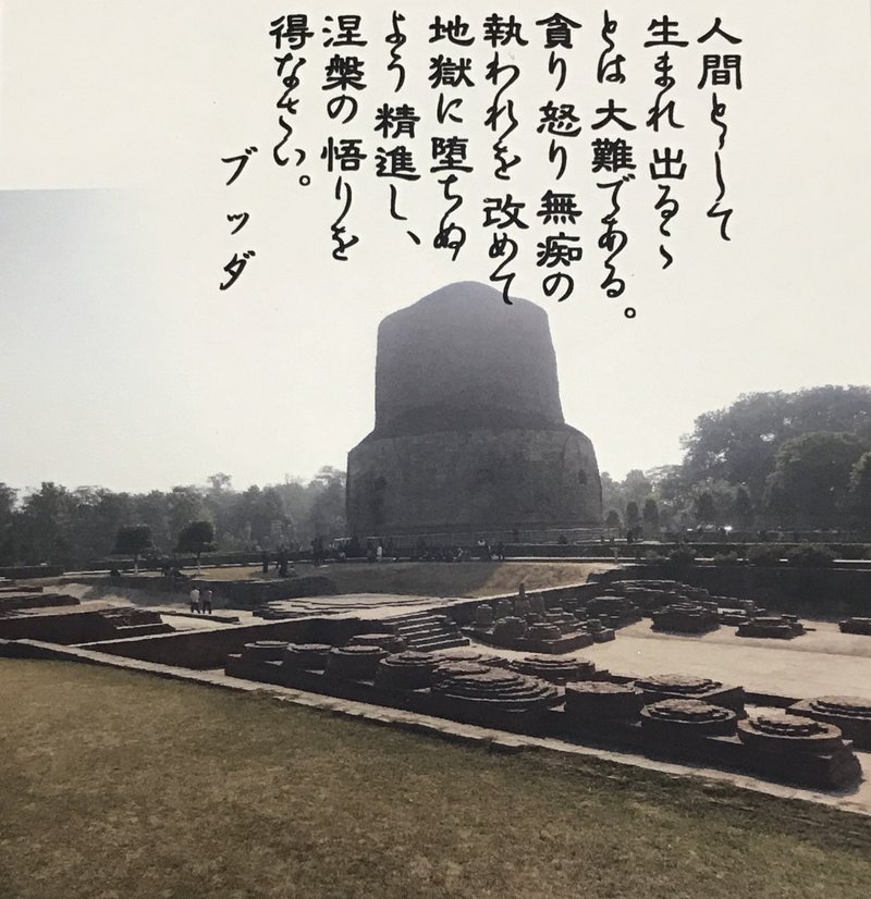 ときおり見直したい ブッダの言葉 さや Note ときおり見直したい ブッダの言葉 さや Note