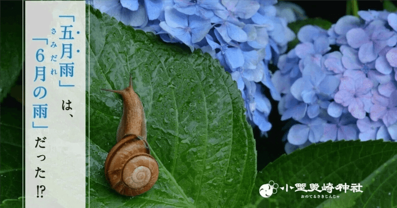 6月なのに「五月雨」なのはなぜ？「五月雨（さみだれ）」の秘密に迫る