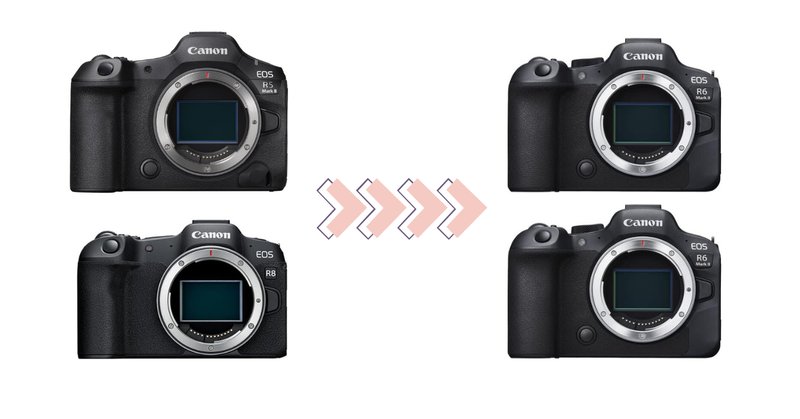 カメラはこれ1台で十分 EOS 1dx mark 2(控えめに言って神 カメラはこれ1台で十分 EOS 1dx mark 2(控えめに言って神
