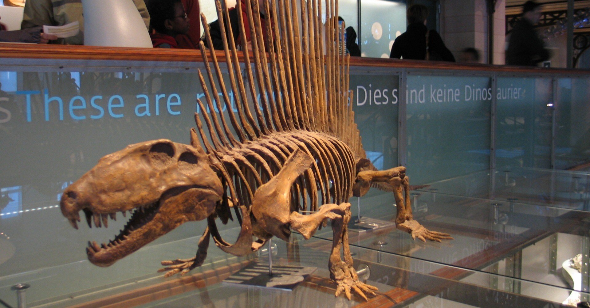 c32baa538a80df9ef7bc9c257c511f