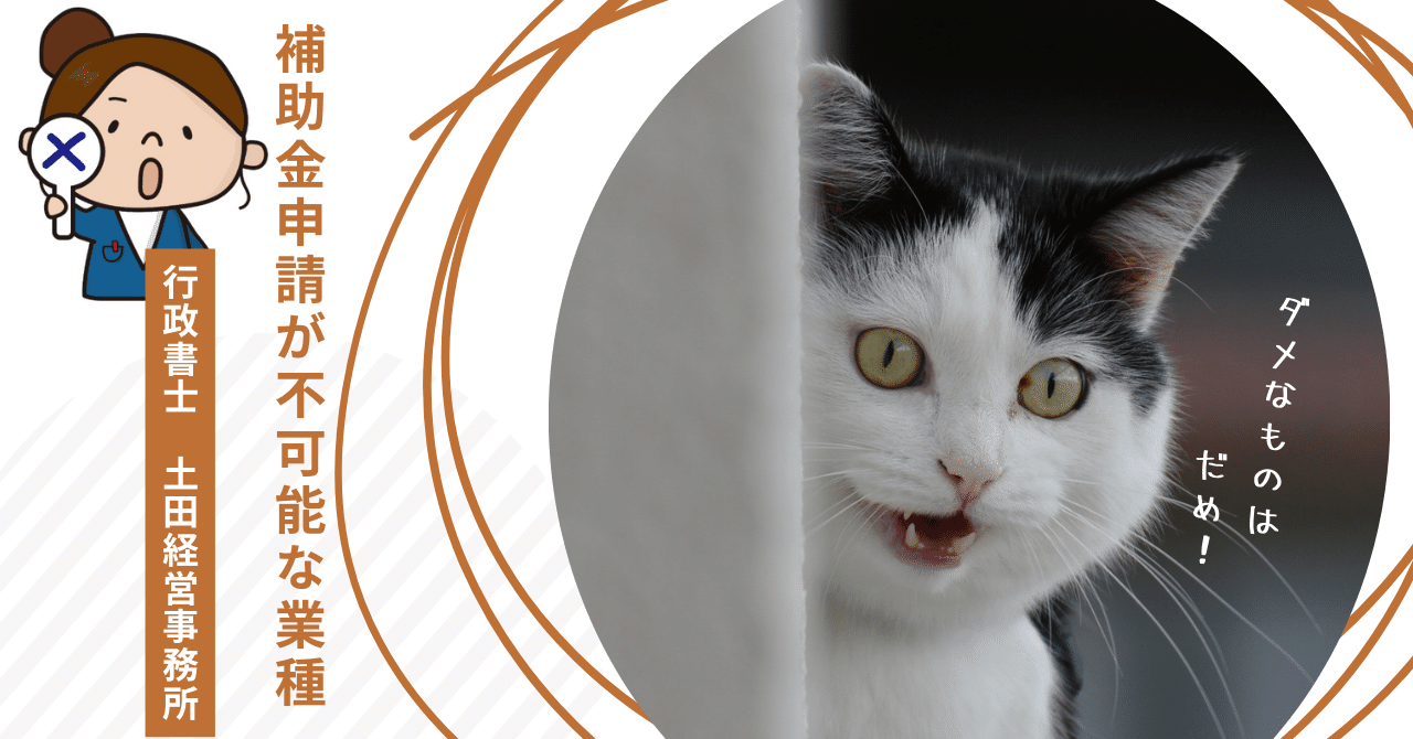 補助金申請が不可能な業種｜神奈川県川崎市補助金申請専門の行政書士 土田経営事務所 補助金、助成金、行政書士の解説記事置き場