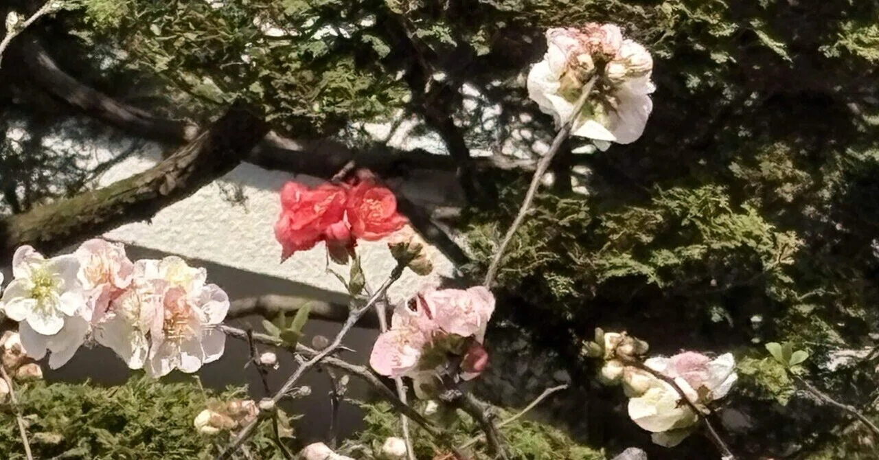 応答遅れ時間の計算と圧力損失の確認|K.Sueoka