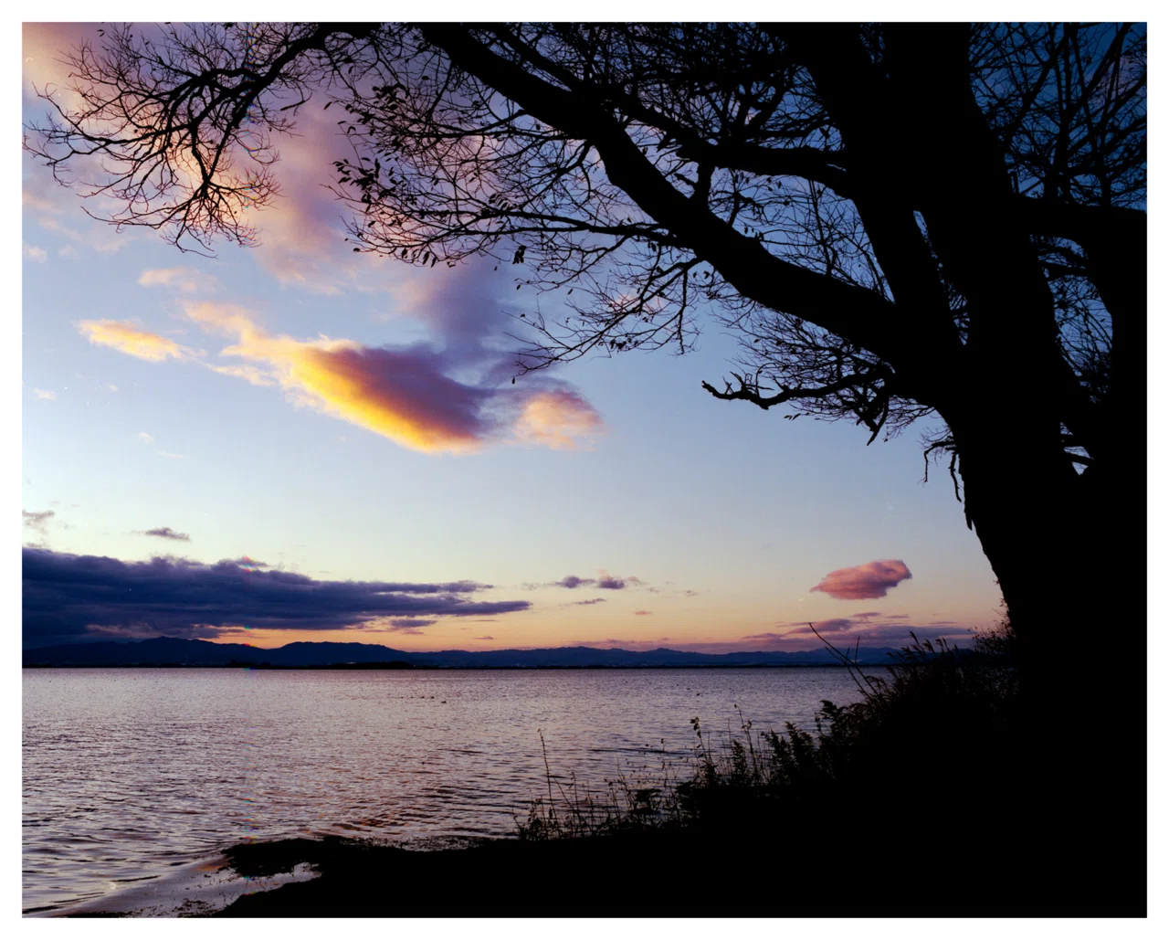 smc PENTAX67 55mm F4｜よろ