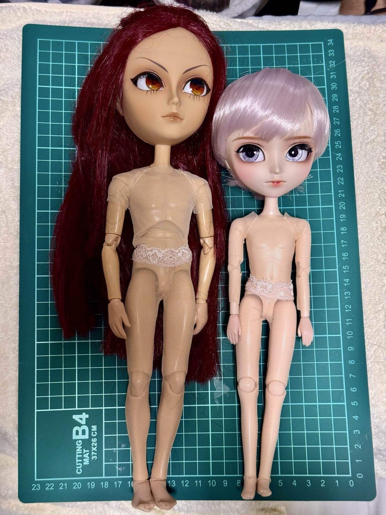 プーリップ　イスル イスルをお迎えする方へ｜いとうひよこ