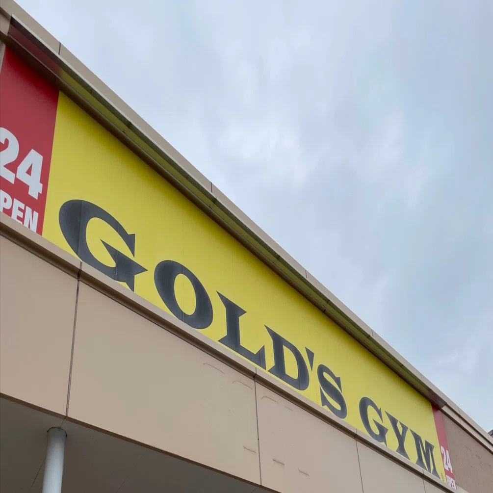 I went for a trial at Gold's Gym｜タツ@習慣に魅せられた凡人