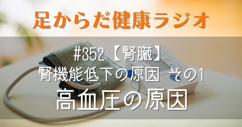 意外に知らない】心不全と腎不全の関係【心腎連関】｜循環器Drぷー