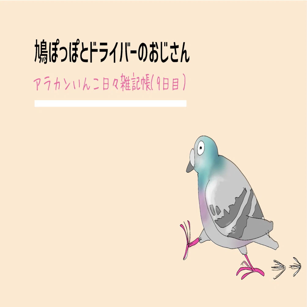 鳩ぽっぽとドライバーのおじさん（9日目）｜アラカンいんこ