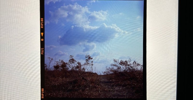EPSON GT-X820 でのフィルムスキャンについて|TK_Photo EPSON GT-X820 でのフィルムスキャンについて|TK_Photo