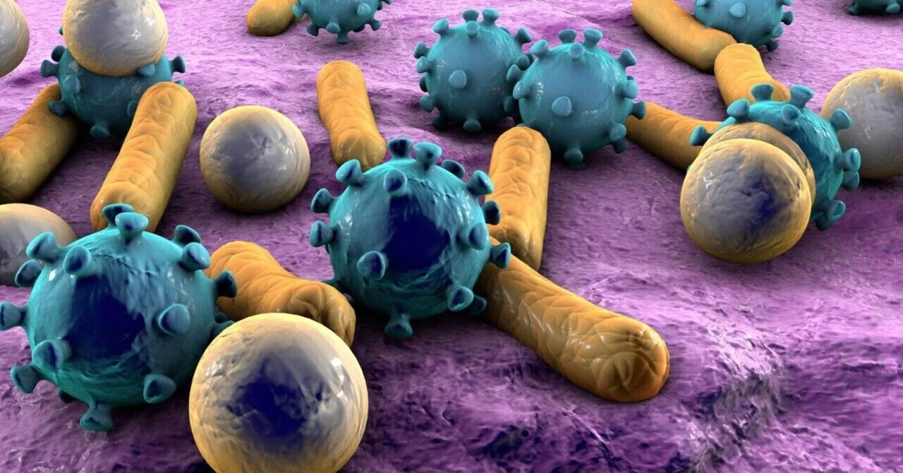 研究によると、Th17免疫細胞は大腸炎患者の重症C.ディフィシルのリスクを高める