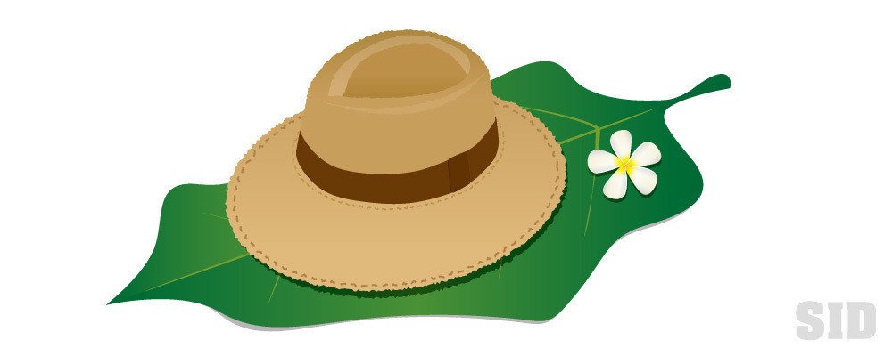 南国の大きな葉っぱの上に置かれた麦わら帽子の無料 商用可能イラスト素材 イラレ フォトショップ 写真 切り抜きデータ Note