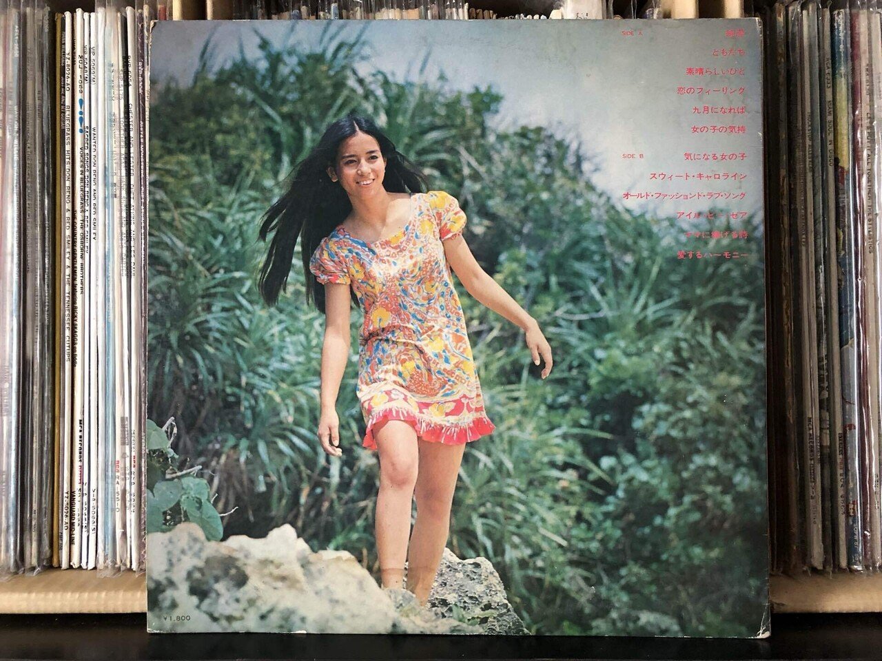 純潔・ともだち／南 沙織 ('72)｜Takeshi Tada