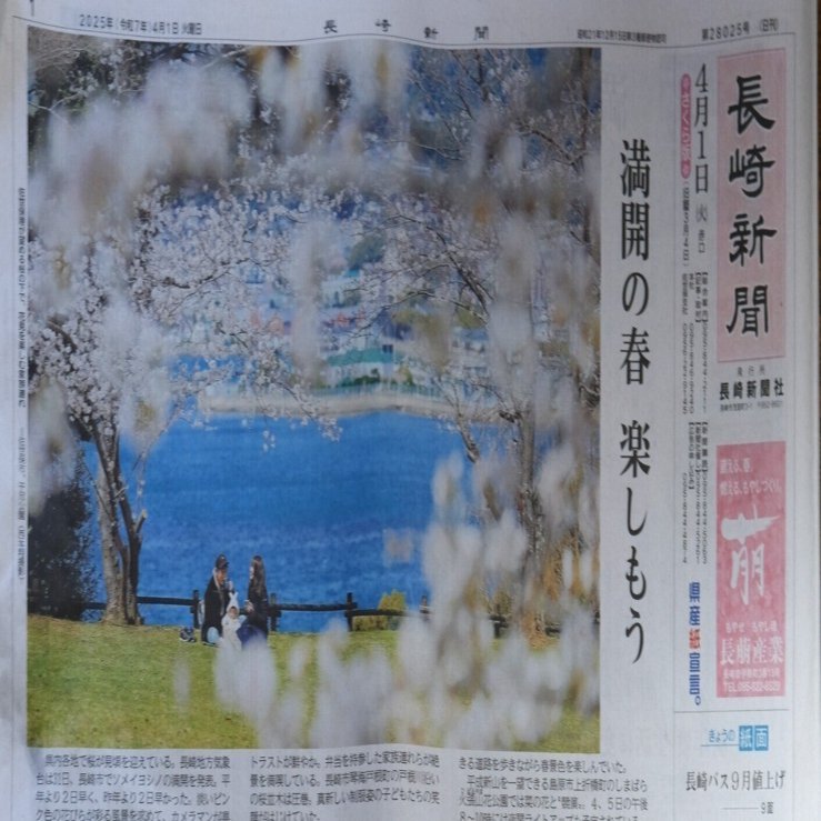 長崎新聞 桜の「狂い咲き」紙面を問う｜Tomohiko Mochida