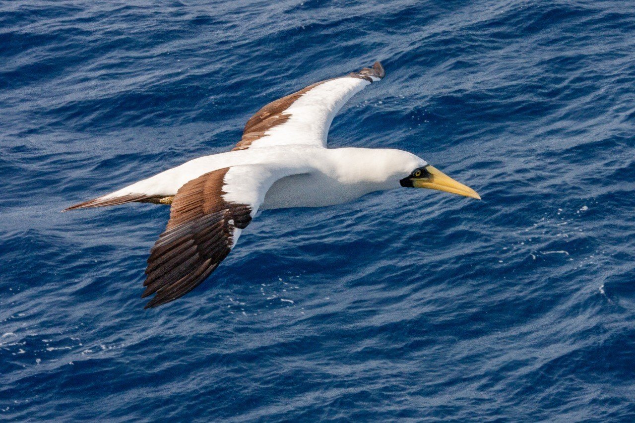 52076a0dc0a4dfc06f56fb131d2417