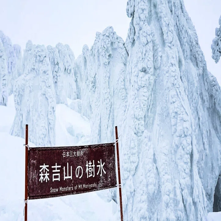 樹氷鑑賞！少人数プレミアム旅は大満足【北秋田～東北旅行】｜ニッポン