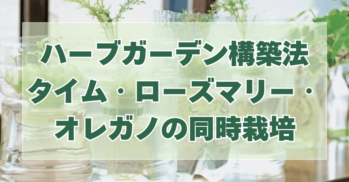 自家栽培ローズマリー⭐︎ 農薬：栽培期間中不使用⭐︎ 自家栽培ローズマリー⭐︎ 農薬：栽培期間中不使用⭐︎ 自家栽培ローズ