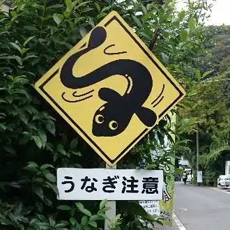 Gekke