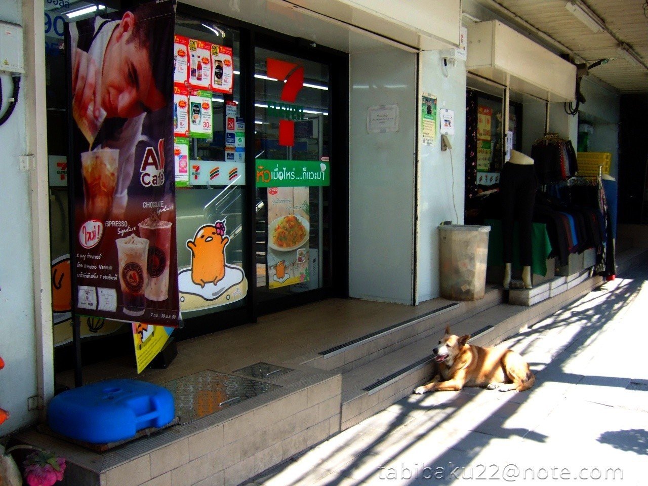 今日も店の前にいるセブン犬 タイ 森野バク 地球旅自炊派 Note
