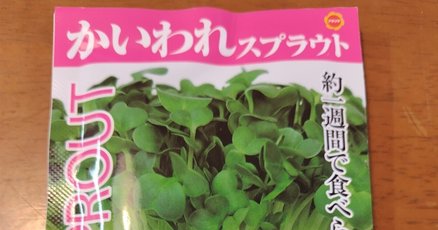 かいわれ大根」の人気タグ記事一覧｜note ――つくる、つながる
