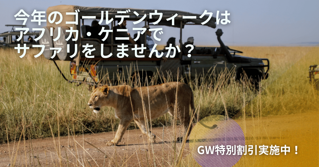 洋書◆ケニアの写真集 本 アフリカ サバンナ 自然 動物 ライオン フラミンゴ 洋書◇ケニアの写真集 本 アフリカ サバンナ 自然 動物 ライオン